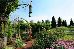 園林管理 規劃、施工與維護的綜合性藝術