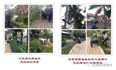 荔城碧桂園2019年1月第四周工作簡報暨苑區(qū)重點改造項目匯報